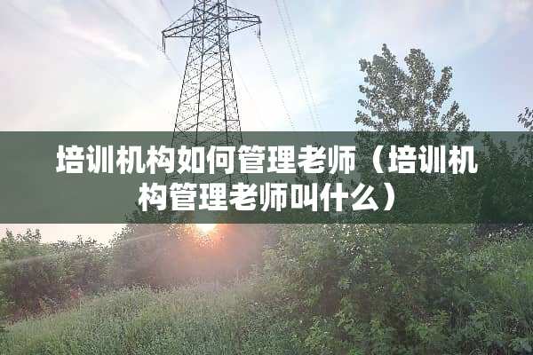 培训机构如何管理老师（培训机构管理老师叫什么）