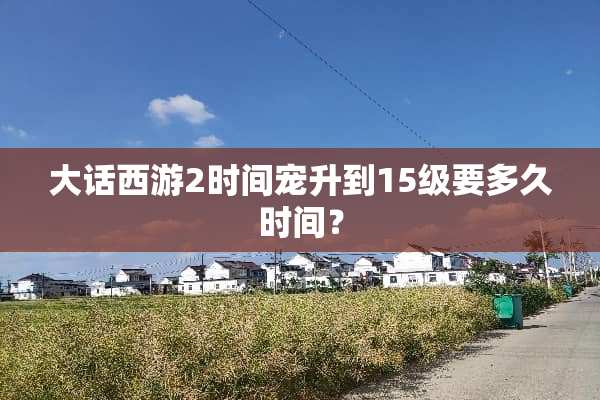 大话西游2时间宠升到15级要多久时间？