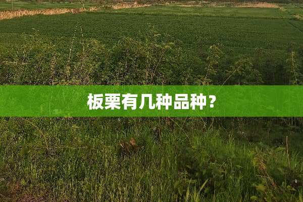 板栗有几种品种？