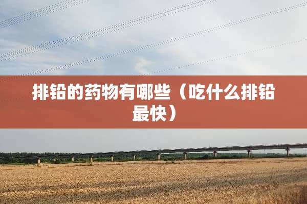 排铅的药物有哪些（吃什么排铅最快）