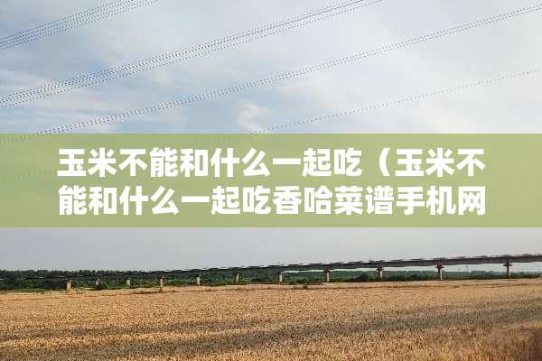 玉米不能和什么一起吃（玉米不能和什么一起吃香哈菜谱手机网）
