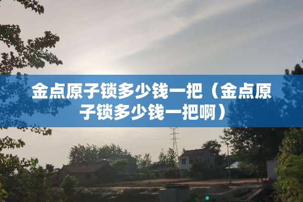 金点**锁多少钱一把（金点**锁多少钱一把啊）