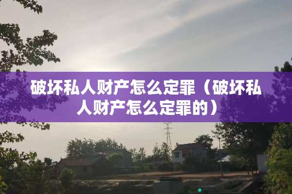 破坏私人财产怎么定罪（破坏私人财产怎么定罪的）