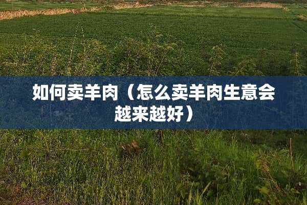 如何卖羊肉（怎么卖羊肉生意会越来越好）
