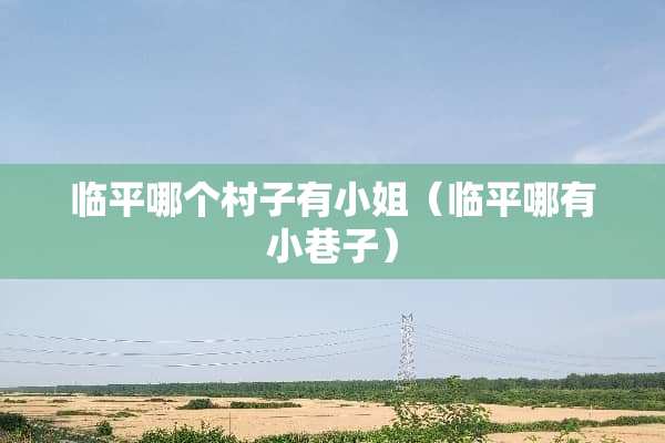 临平哪个村子有小姐（临平哪有小巷子）