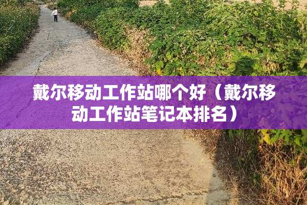戴尔移动工作站哪个好（戴尔移动工作站笔记本排名）