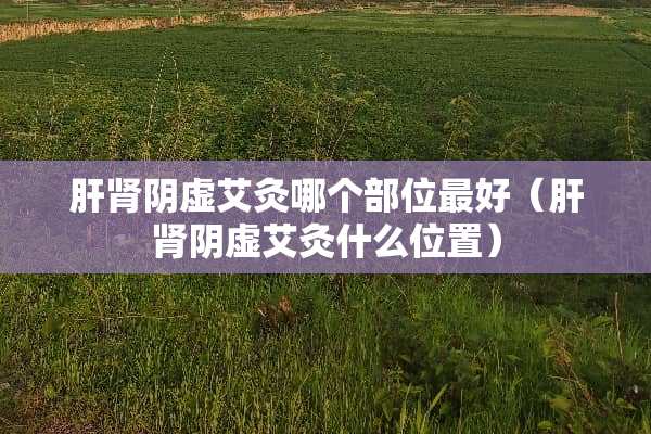 肝肾*虚艾灸哪个部位最好（肝肾*虚艾灸什么位置）