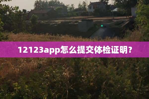 12123app怎么提交体检证明？