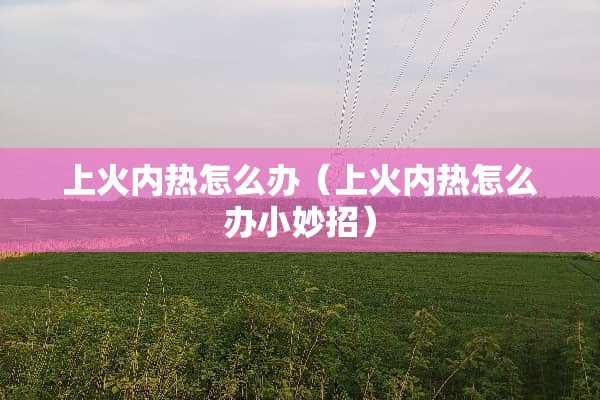 上火内热怎么办（上火内热怎么办小妙招）