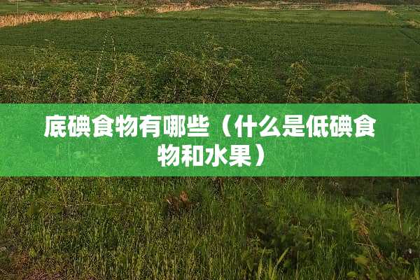 底碘食物有哪些（什么是低碘食物和水果）