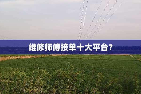 维修师傅接单十大平台？