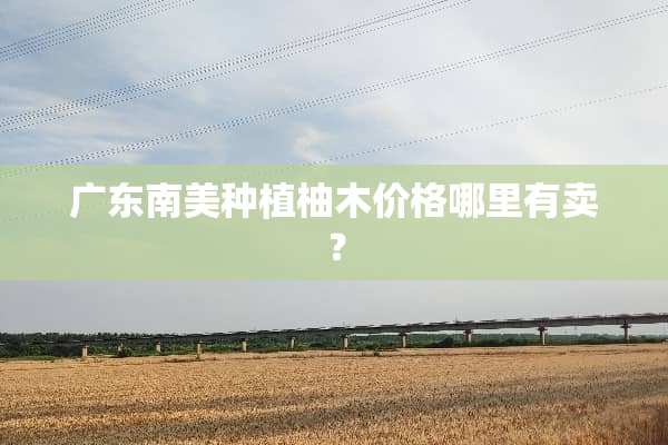 广东南美种植柚木价格哪里有卖？