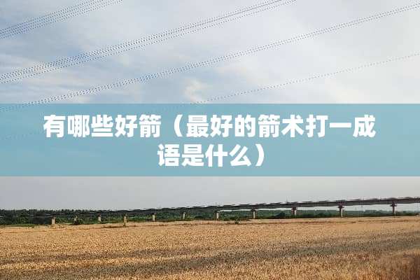 有哪些好箭（最好的箭术打一成语是什么）