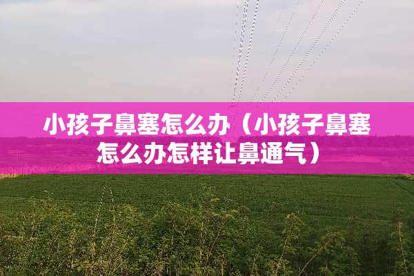小孩子鼻塞怎么办（小孩子鼻塞怎么办怎样让鼻通气）