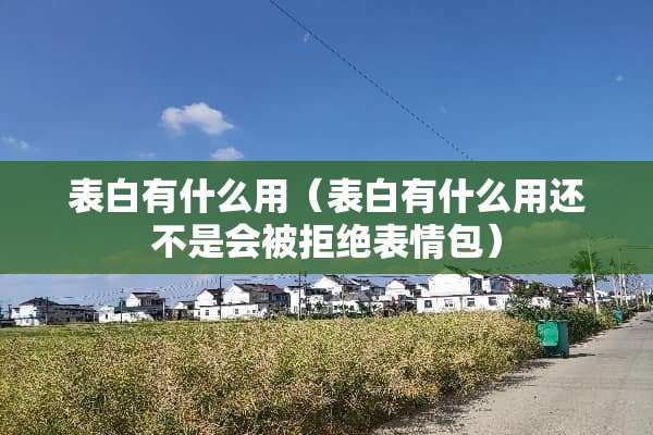表白有什么用（表白有什么用还不是会被拒绝表情包）