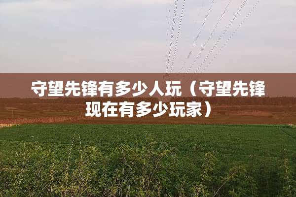 守望先锋有多少人玩（守望先锋现在有多少玩家）