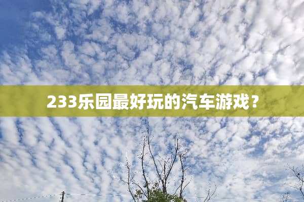 233乐园最好玩的汽车游戏？