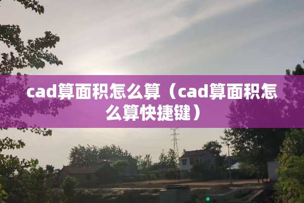 cad算面积怎么算（cad算面积怎么算快捷键）