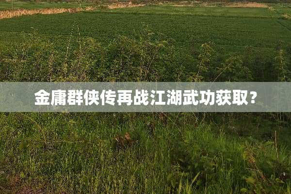 金庸群侠传再战江湖武功获取？
