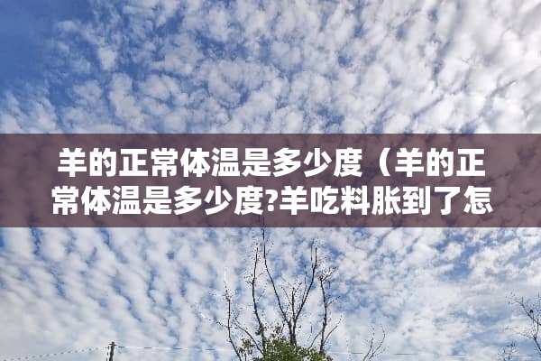 羊的正常体温是多少度（羊的正常体温是多少度?羊吃料胀到了怎么办）