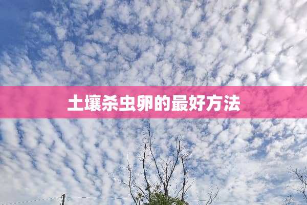 土壤杀虫卵的最好方法