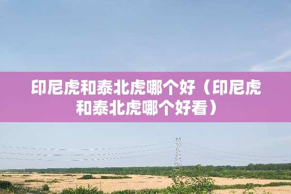 印尼虎和泰北虎哪个好（印尼虎和泰北虎哪个好看）