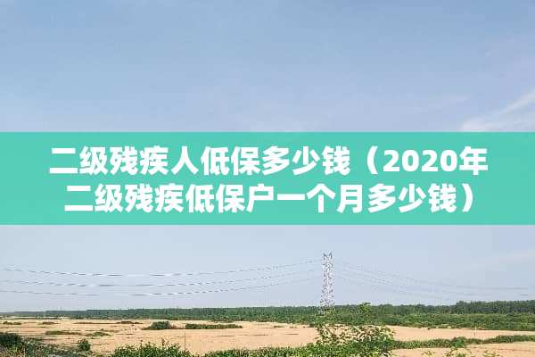 二级残疾人低保多少钱（2020年二级残疾低保户一个月多少钱）