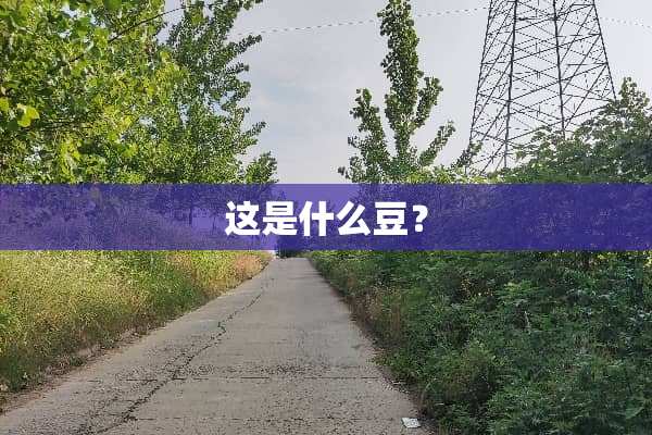 这是什么豆？