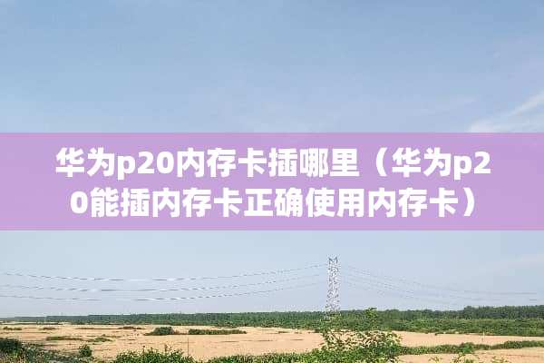 华为p20内存卡插哪里（华为p20能插内存卡正确使用内存卡）