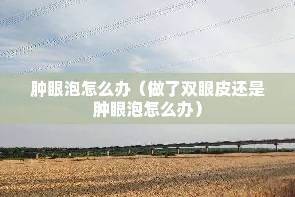 肿眼泡怎么办（做了双眼皮还是肿眼泡怎么办）