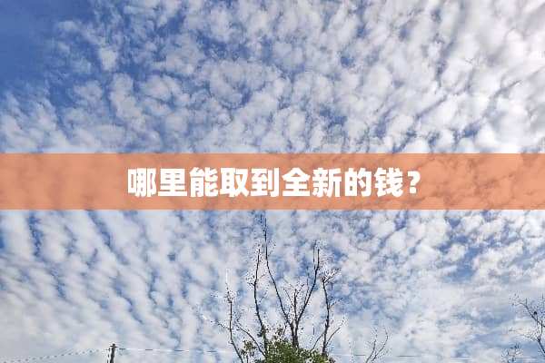 哪里能取到全新的钱？