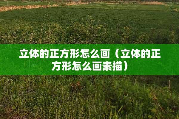 立体的正方形怎么画（立体的正方形怎么画素描）