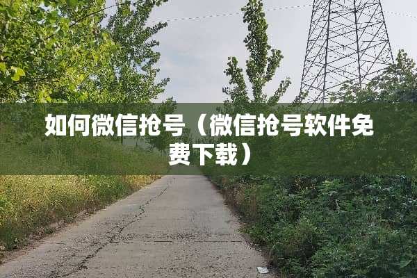 如何微信抢号（微信抢号软件免费下载）