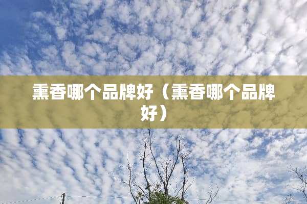 熏香哪个品牌好（熏香哪个品牌好）