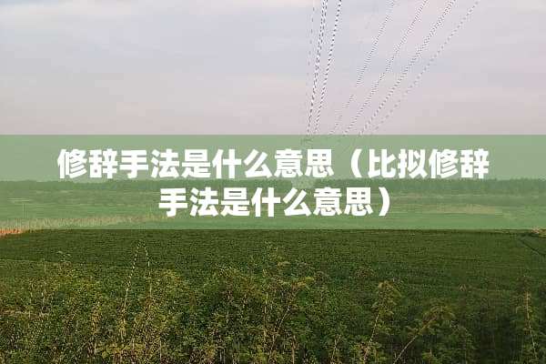 修辞手法是什么意思（比拟修辞手法是什么意思）