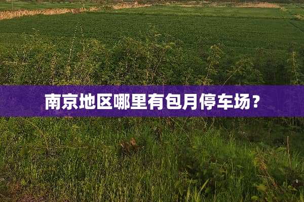 南京地区哪里有包月停车场？
