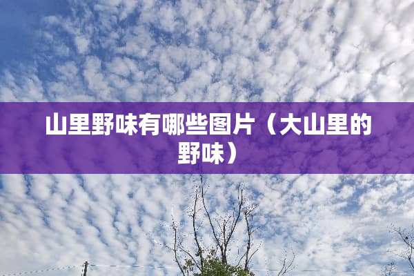 山里野味有哪些图片（大山里的野味）