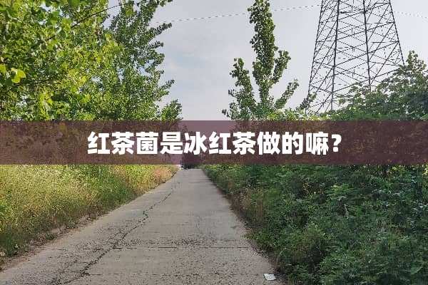 红茶菌是冰红茶做的嘛？