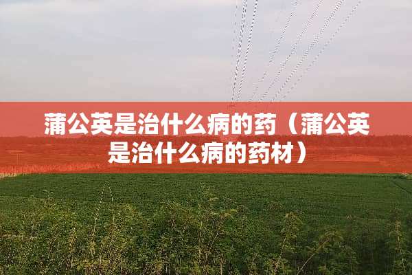 蒲公英是治什么病的药（蒲公英是治什么病的药材）