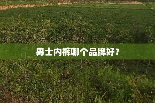男士**哪个品牌好？
