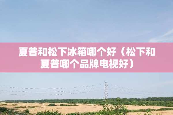 夏普和松下冰箱哪个好（松下和夏普哪个品牌电视好）