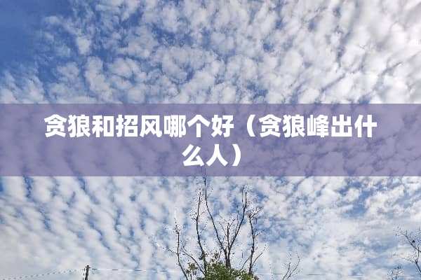 贪狼和招风哪个好（贪狼峰出什么人）