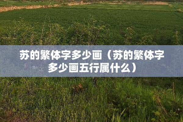 苏的繁体字多少画（苏的繁体字多少画五行属什么）