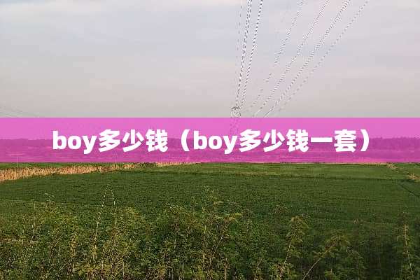 boy多少钱（boy多少钱一套）