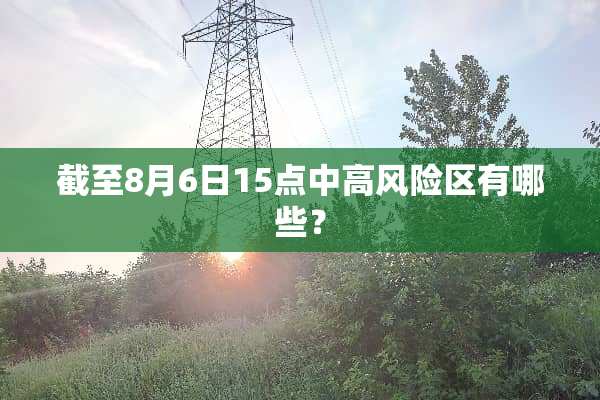 截至8月6日15点中高风险区有哪些？