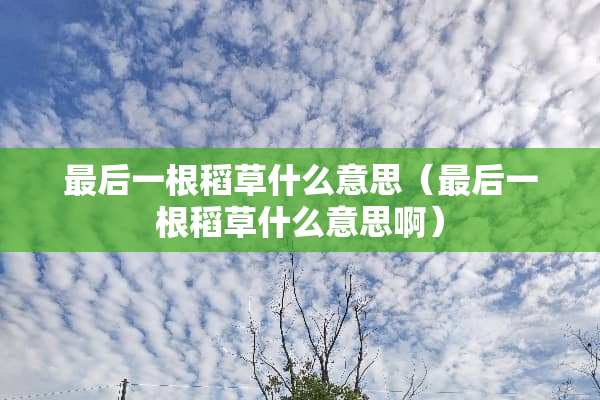 最后一根稻草什么意思（最后一根稻草什么意思啊）