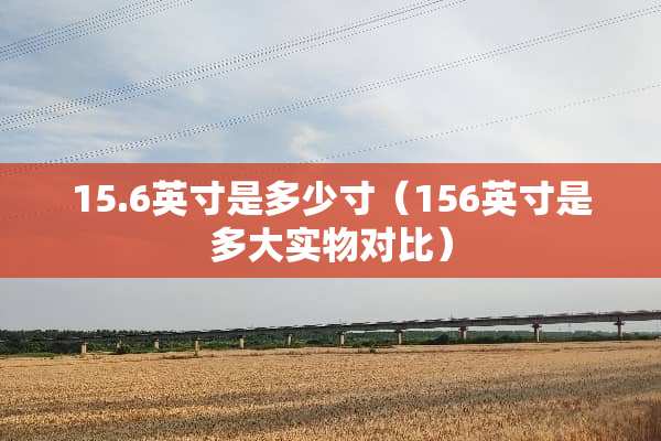 15.6英寸是多少寸（156英寸是多大实物对比）