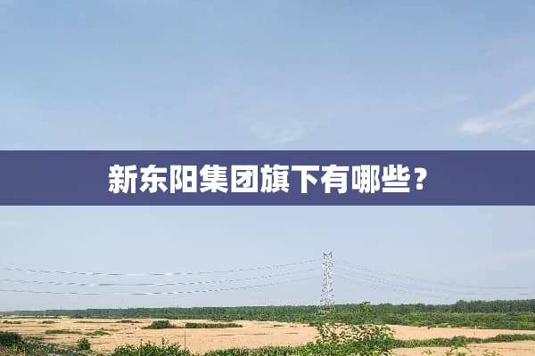 新东阳集团旗下有哪些？
