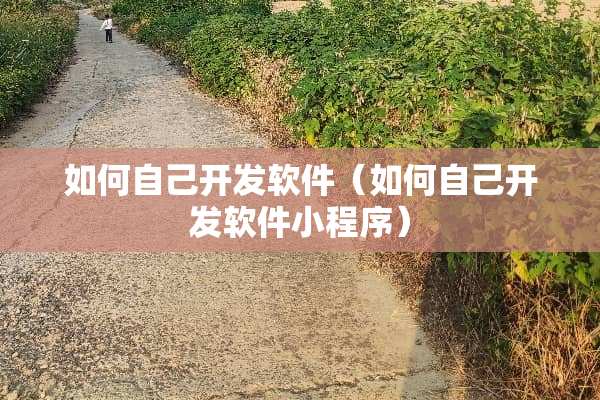 如何自己开发软件（如何自己开发软件小程序）