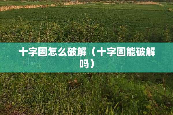 十字固怎么**（十字固能**吗）